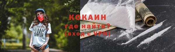 гашик Богданович