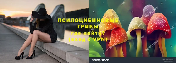 гашик Богданович