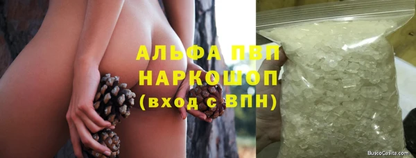 гашик Богданович