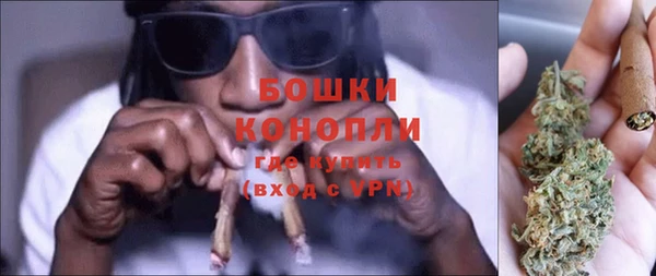 гашик Богданович