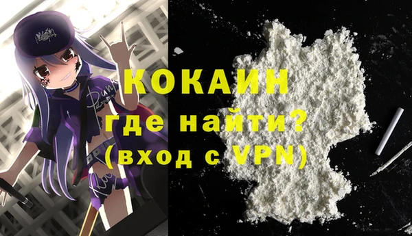 гашик Богданович