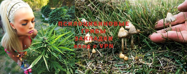 трава Богородск