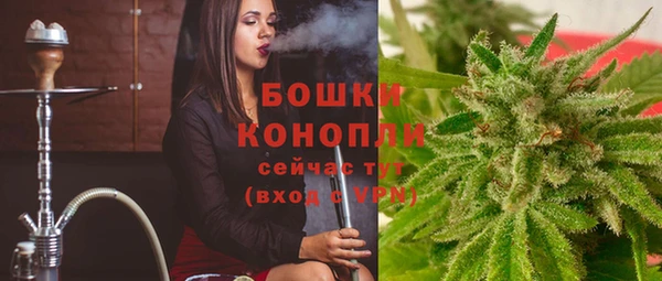 гашик Богданович