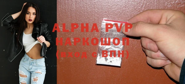 гашик Богданович