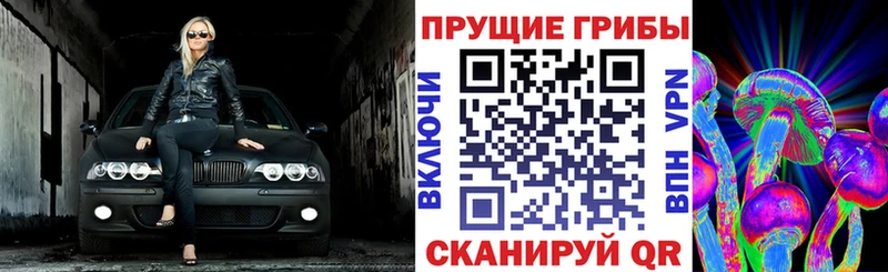 где найти   Люберцы  Псилоцибиновые грибы GOLDEN TEACHER 